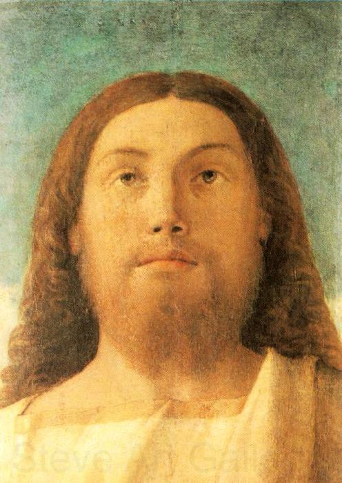BELLINI, Giovanni Head of the Redeemer beg Norge oil painting art
